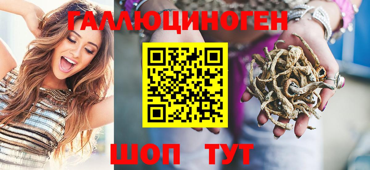 Коряжма  Галлюциногенные грибы мицелий  Вход с VPN 