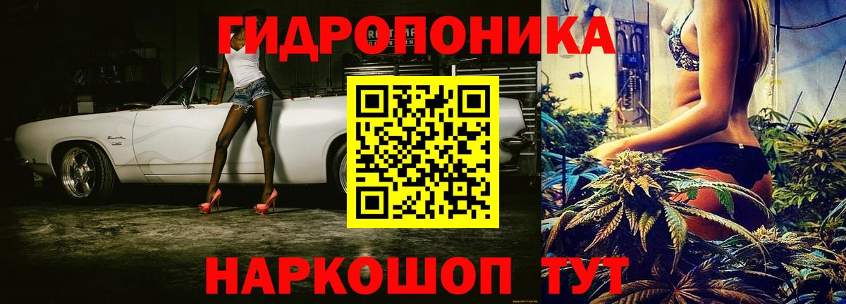 Коряжма  Бошки Шишки ГИДРОПОН  Бошки Шишки White Widow  Марихуана THC 21%  Вход с VPN 